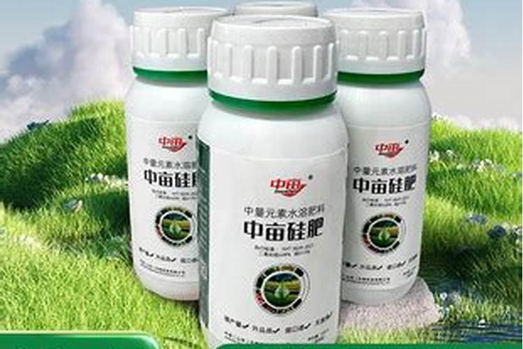 硅肥施肥方法