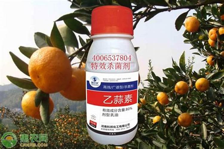 复合肥与掺混肥哪个好