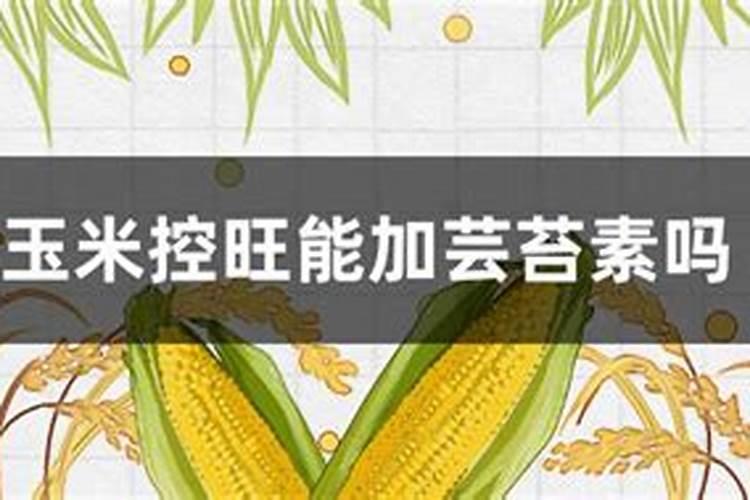 国投罗钾是什么