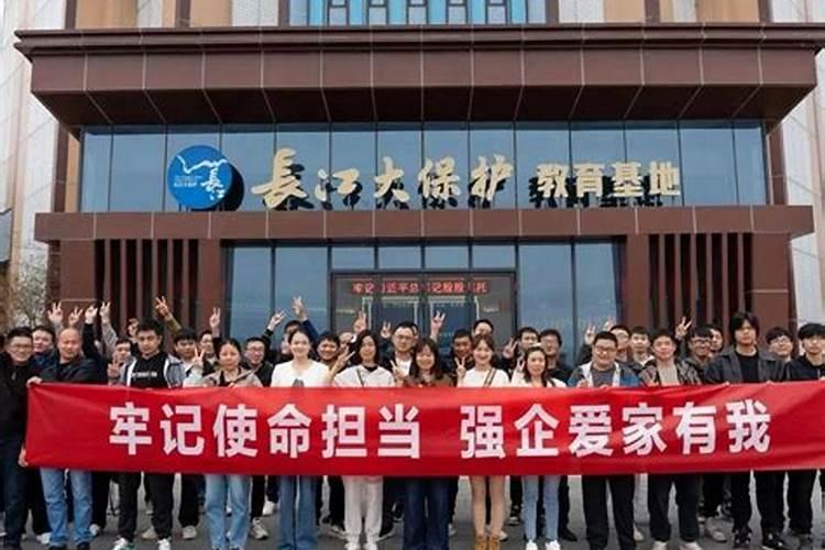 肥料龙头股票有哪些