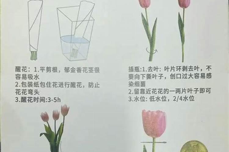 老挝有什么厂