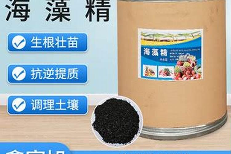 香蕉新种的小苗,用什么肥比较好？