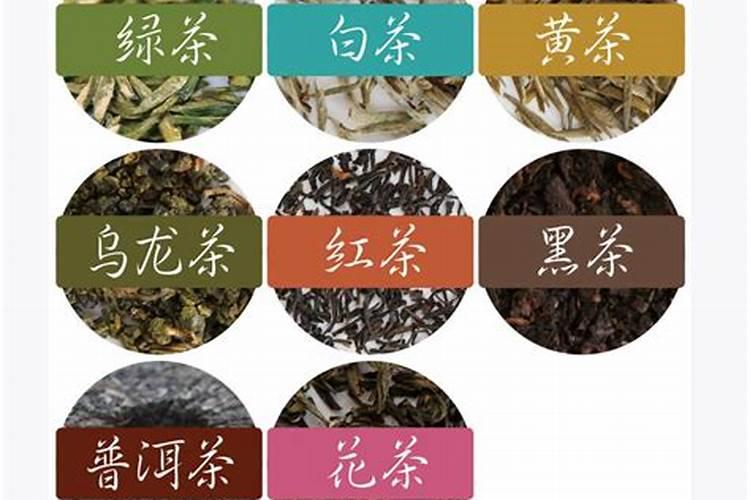 珍珠黄杨的养殖方法和注意事项总结