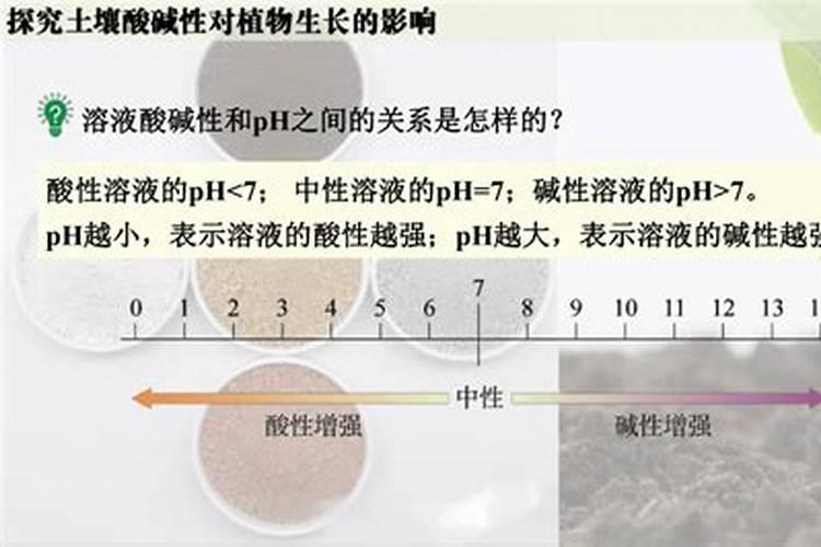 碱性土壤改良方法用什么肥