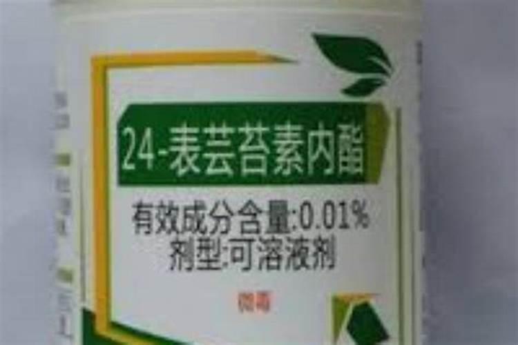 丹东九九草莓冬天打药么