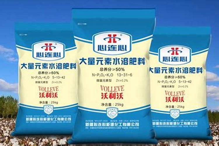 橘子树用什么肥好