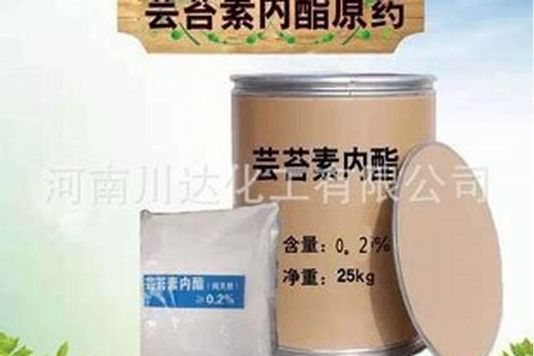硝酸钾作为叶面肥使用应注意什么？ 2013肥料企业最新排行榜