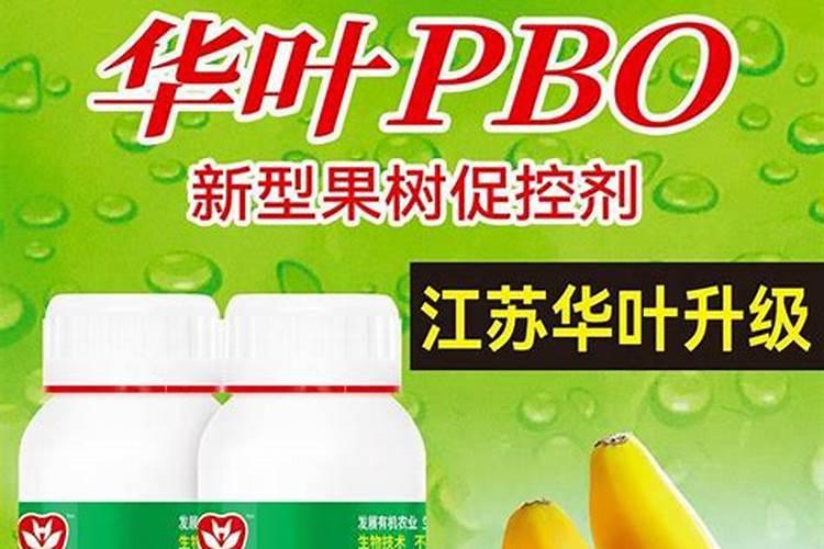 果树缺钙用什么肥料最适合(果树需补什么钙肥最好)