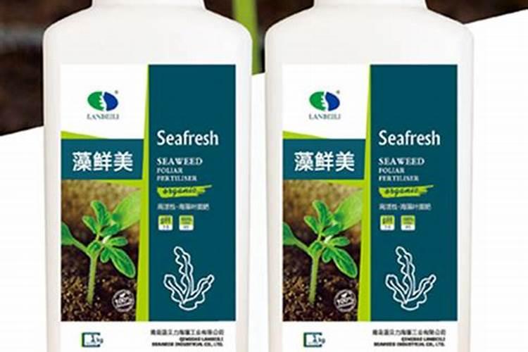揭秘:海藻有机肥到底好不好？