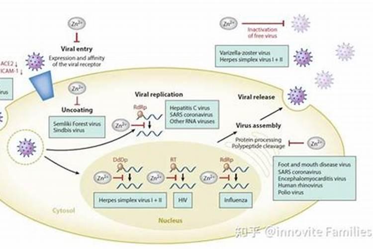 家庭天然硼肥有哪些