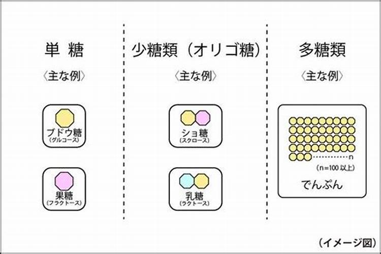现在沙糖桔果子小要放什么肥？怎样施肥