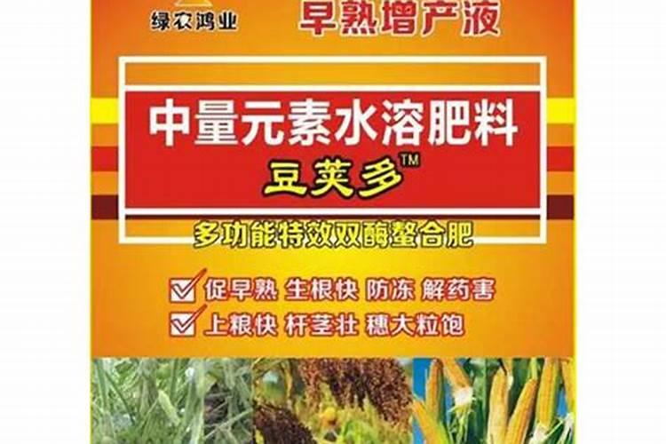 “跳水”“养花”“社戏”各是谁写的？