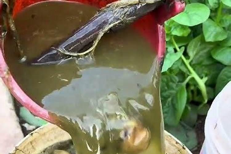 水溶肥的正确使用方法