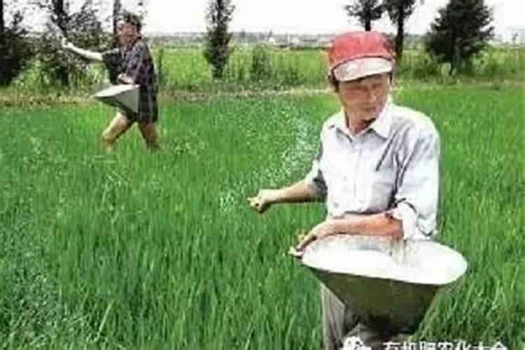 请问一下菌肥和复合肥怎样混施？