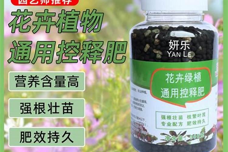 新栽葡萄树,新栽葡萄树如何管理呢？