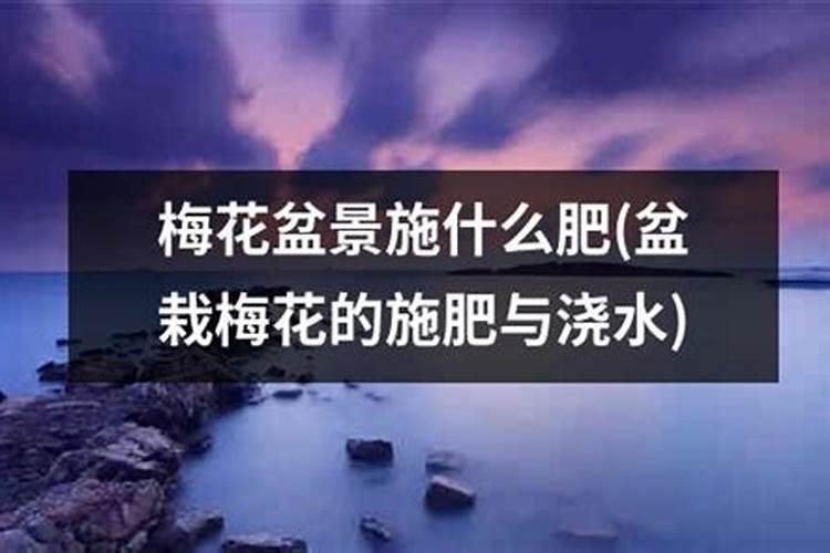 打顶后硼肥滴灌亩用量多少合适？