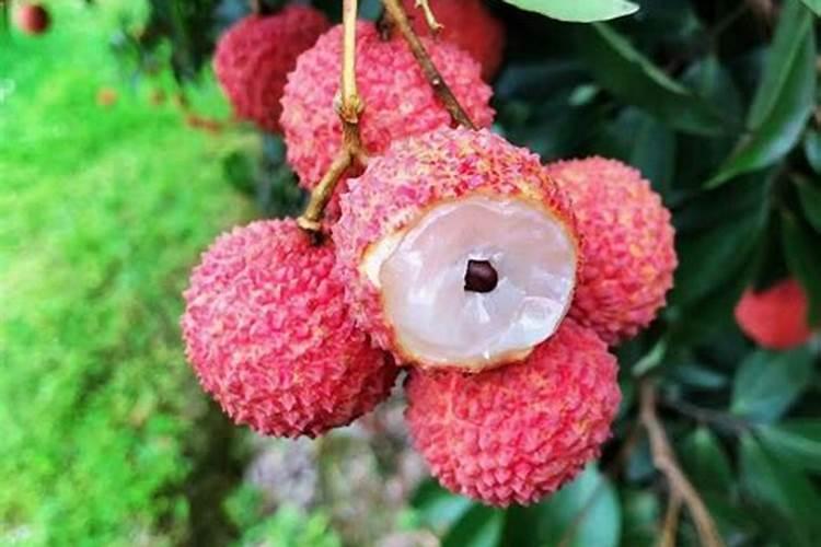 荔枝幼果期能施高钾复合肥吗？