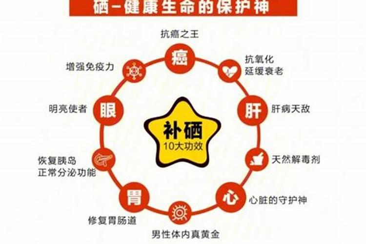 砂仁的功效与作用及食用方法 砂仁的功效