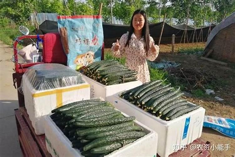梦见电动车被人偷走的预兆