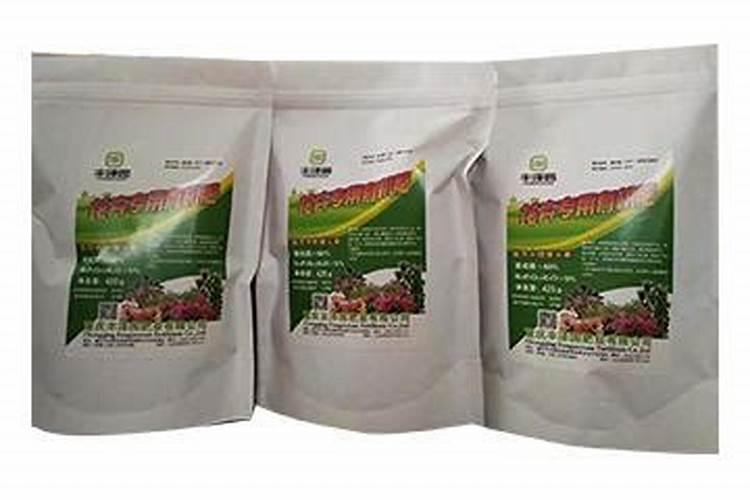 药用植物车前草白粉病防治方法