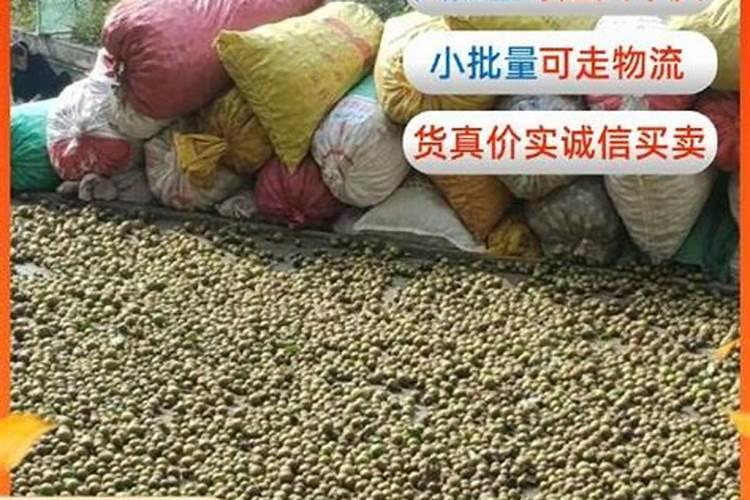 鱼蛋白对农作物的作用