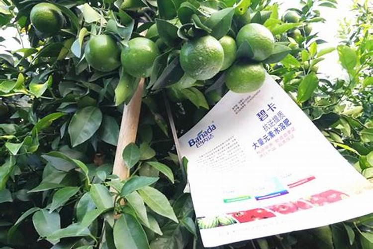 镁肥有哪些