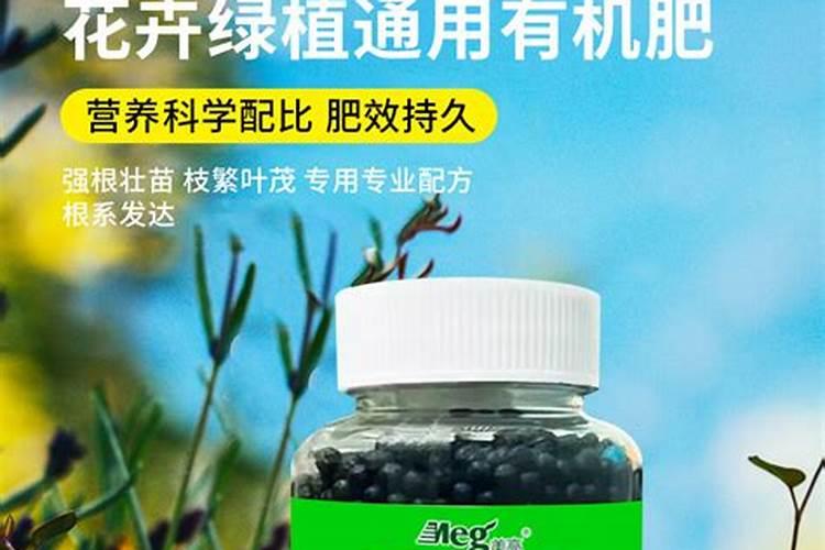 花卉肥料有哪些