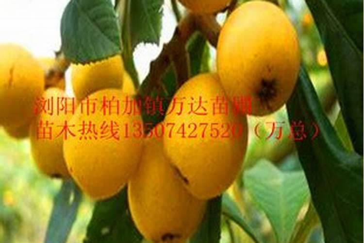 钾肥在土壤中流失吗