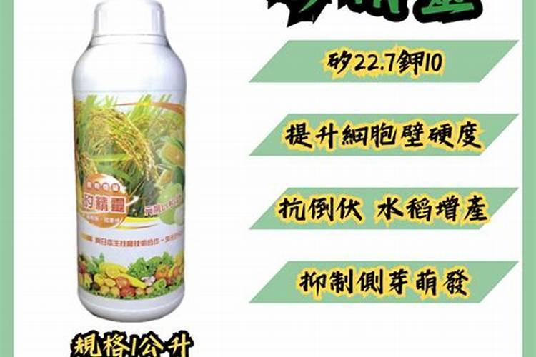 倒伏施什么肥