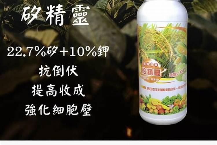 倒伏施什么肥
