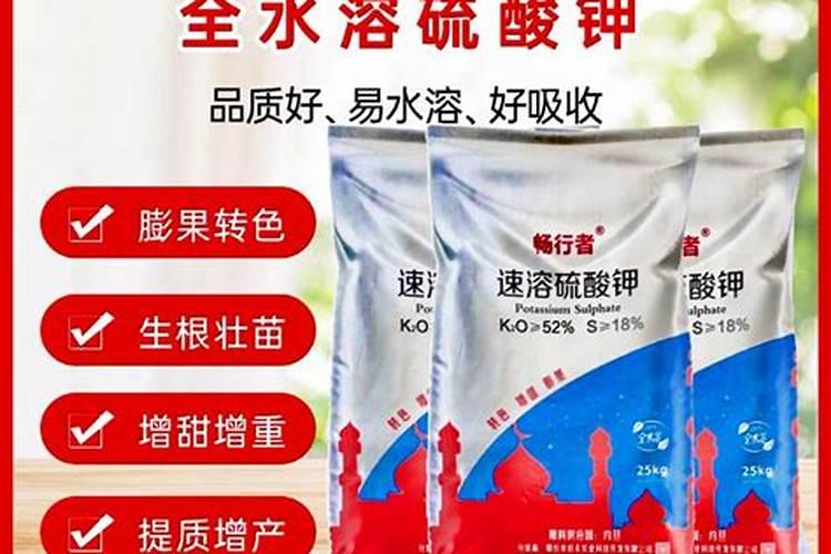 黄瓜苗期温度管理包括哪些内容？
