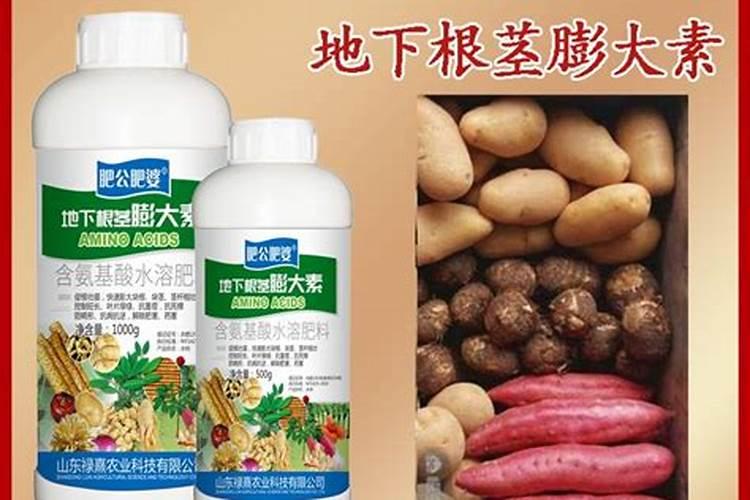 天达2116的作用与用法 在大蒜上如何使用