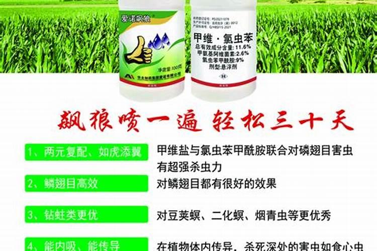 什么冲施肥最好