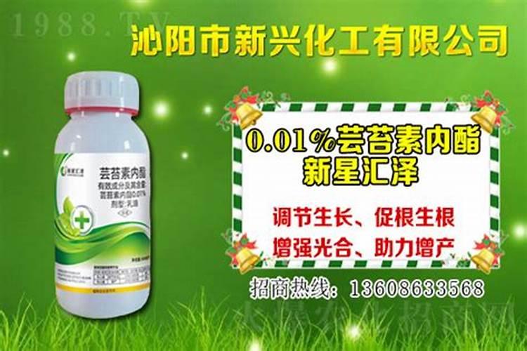 锌肥如何喷施