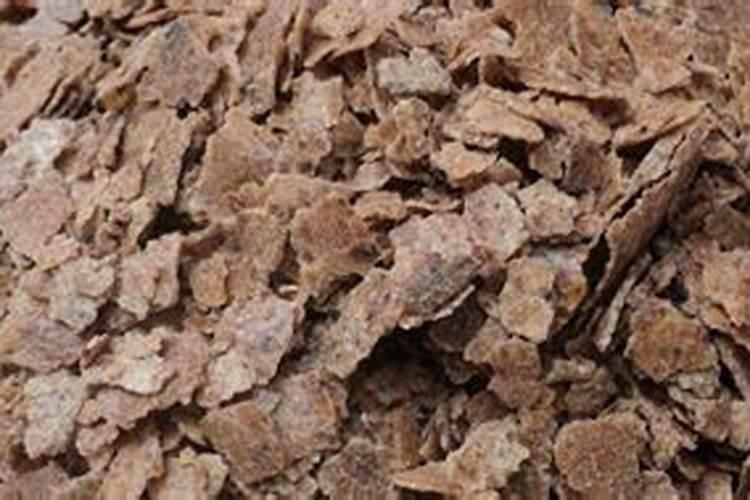 种丝瓜用什么肥料最好