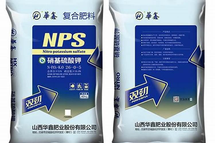 太子参有哪些药用价值？
