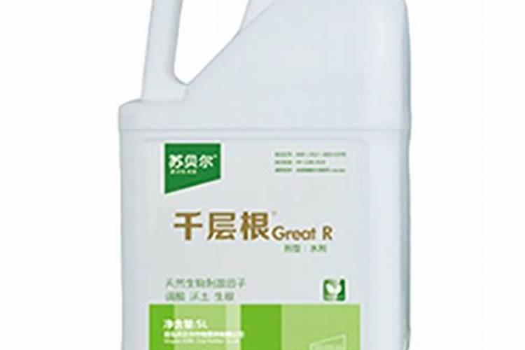 薄荷要怎么修剪