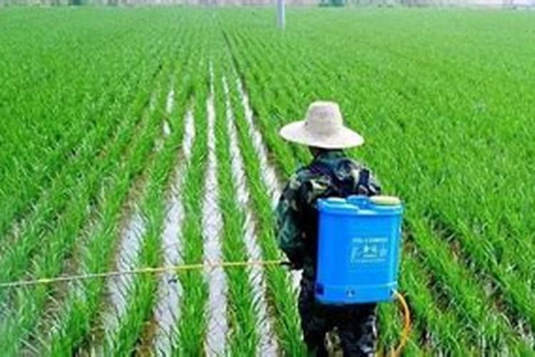 山东有实力的肥料公司有哪些？