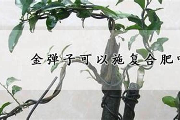 大量元素水溶肥知名品牌有哪些？
