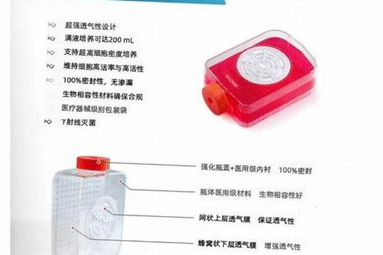 豆角如何进行水肥管理？