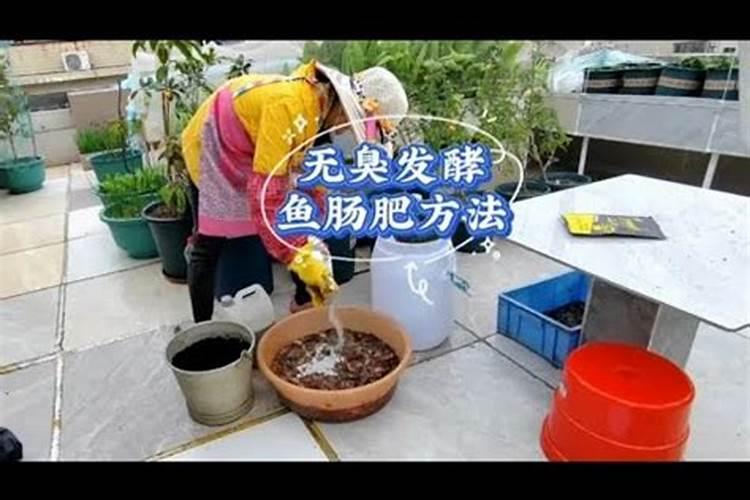 芸苔素有没有不是农药的