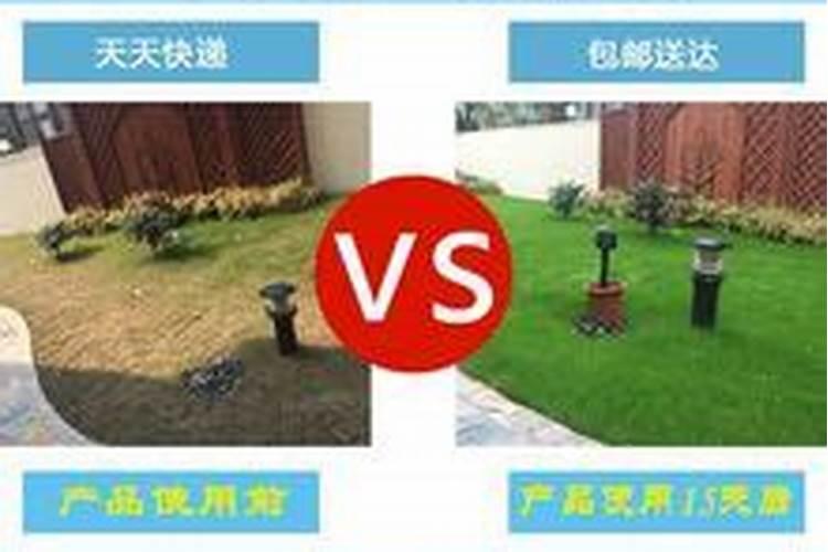 大棚一亩地能产多少甜瓜