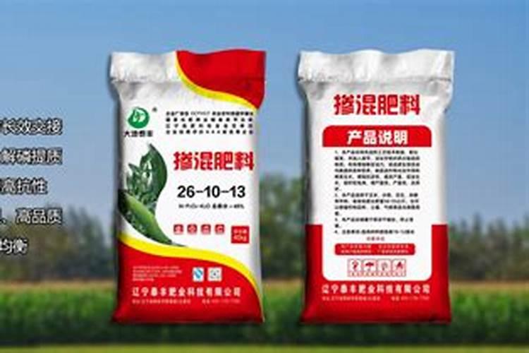 中国蓝球连赛东莞排第几名