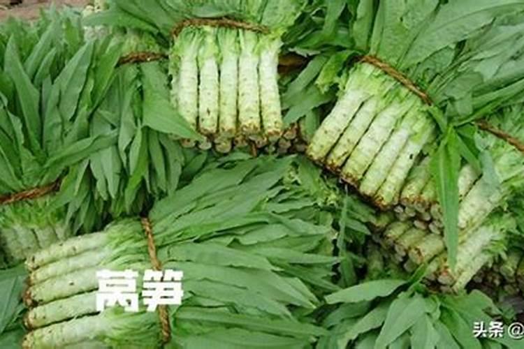 莴笋施肥技术 莴笋怎么施肥能高产
