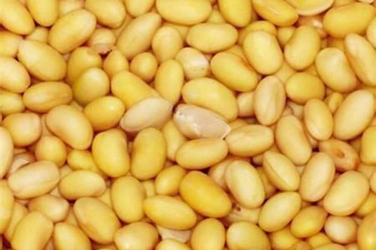 种植大豆需要上多少肥都上什么肥