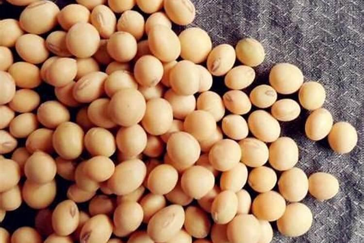大豆施肥可以使用复合肥吗 注意事项有哪些