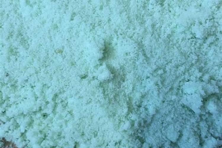 各位老师给看看这是怎么了,番茄黄叶,快蔫了