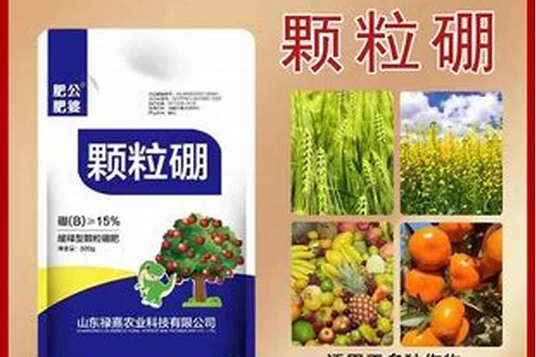 磷肥和复合肥的区别