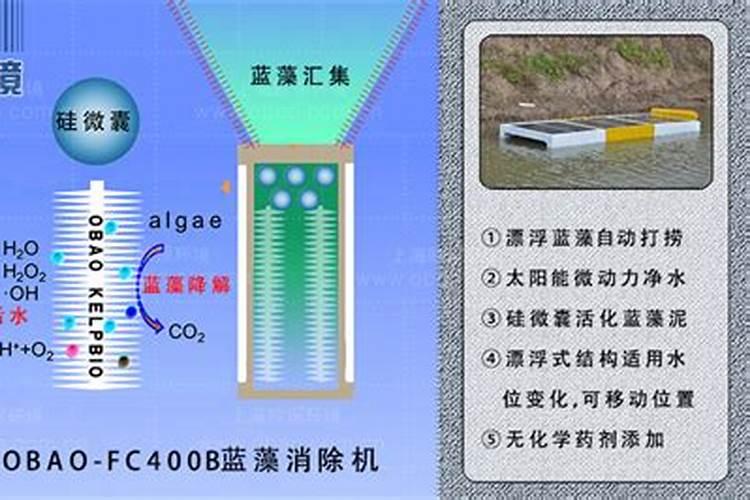 红薯怎样种高产栽培技术