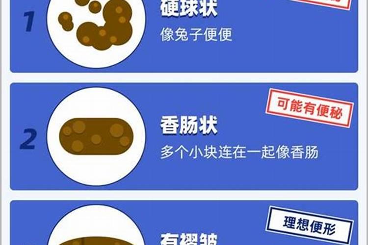 氮肥为主的有机肥是什么肥料
